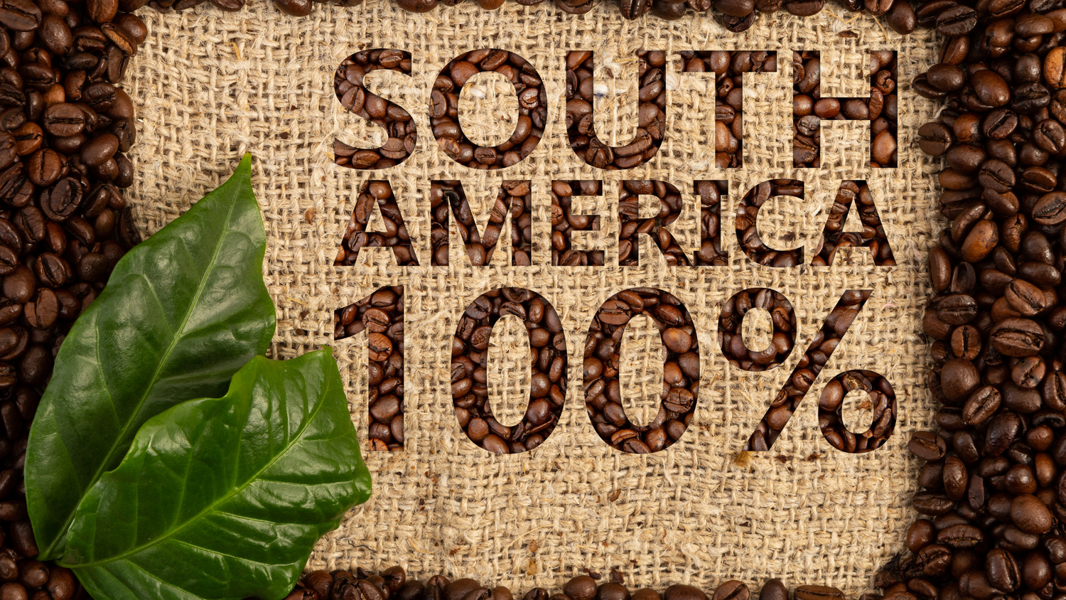 Vera roasting co, the only coffee infused with resveratrol, dover, New Hampshire, NH, coffee, health benefits, shop local, nh made, ice coffee, cold brew, calm blend, immunity blend, cardio blend